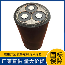 26/35KV YJLV22 3x25 3x35 3x50 3x70 3x95 3x120�߉���ȼ�X��|