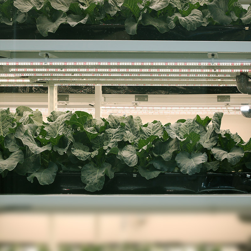 植物灯厂家 室内多肉盆栽生长补光灯全光谱1.2米grow light