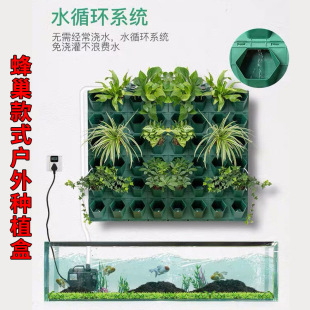 10�ڏ�12�䳲100ֲ����辰�^��ֱ�G�����w�ڒ��ʽ�����l�Gֲ