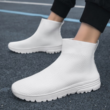 2040�����¿���H�m��Ь͸��W��ߎ����eЬһ�_�ź���w���\��Ь