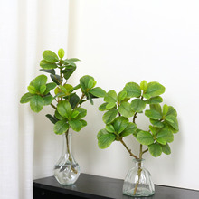 Wֲlؔ~٘~Gɫ~ӾGֲ廨辰羳