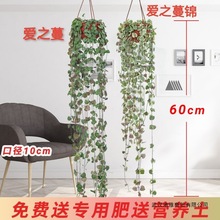 ���~�������m����ֲ���֮���\С���m�Gֲ���������҃��̨���B��