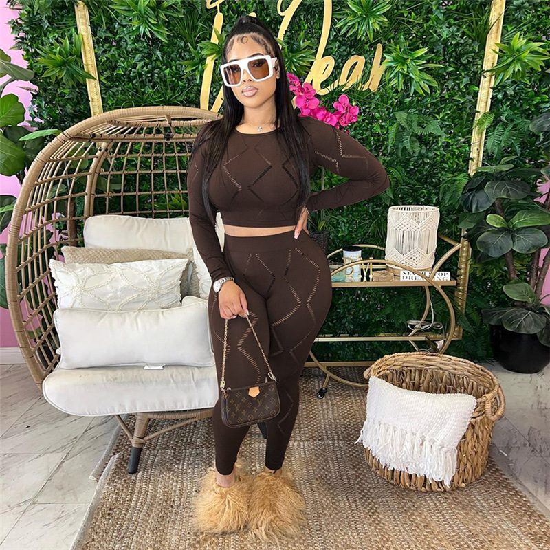 Pant Co-ord Set Sets Type Daily Street Women's Casual Sexy Solid Color Polyester Hollow Out Pant Co-ord Set Pants Sets