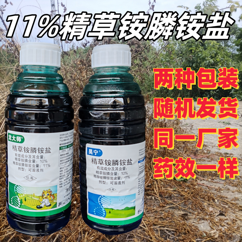 IMG_20240617_145114(1)_副本