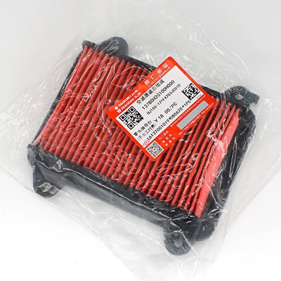 Original application Haojue DF150 Air filter