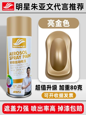 Avtomobil boya qələmləri Black White Paint Can - haoshun-self-painted-450mlbright-gold