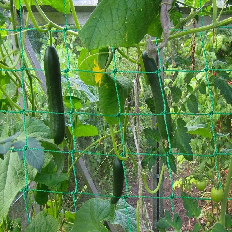 植物野菜クライミングネットガーデングリーングリッドクライミングラダーネットブラケットネット植物サポート弾性クライミングラダーネットブラケット|undefined