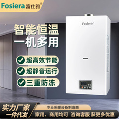 Fushiya ガス壁掛けボイラー効率的で省エネ家庭用暖房インテリジェント制御天然ガスボイラー給湯器