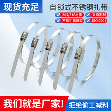 定制金属束线带电缆架桥船用4.6捆扎带扣白钢304自锁式不锈钢扎