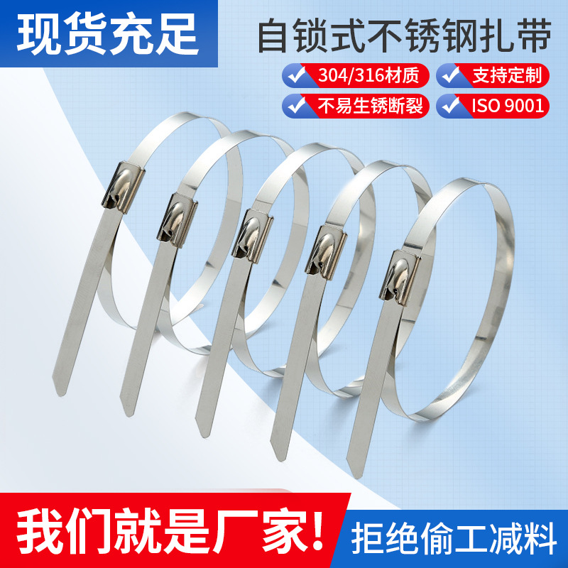 定制金属束线带电缆架桥船用4.6捆扎带扣白钢304自锁式不锈钢扎