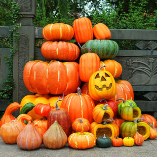 ����b������b����߷�����Ϲϻ����c�Ϲ��f�}���ϹϷ����Ϲ�