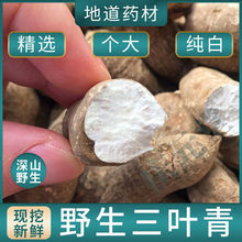 ~㽭𾀵Jrʯ˟ʯ؛؛