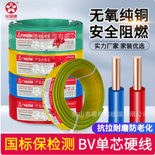 �����齭����BV�ι��~о1.5/2.5/4/6/10ƽ�����b����ȼ��оӲ늾�