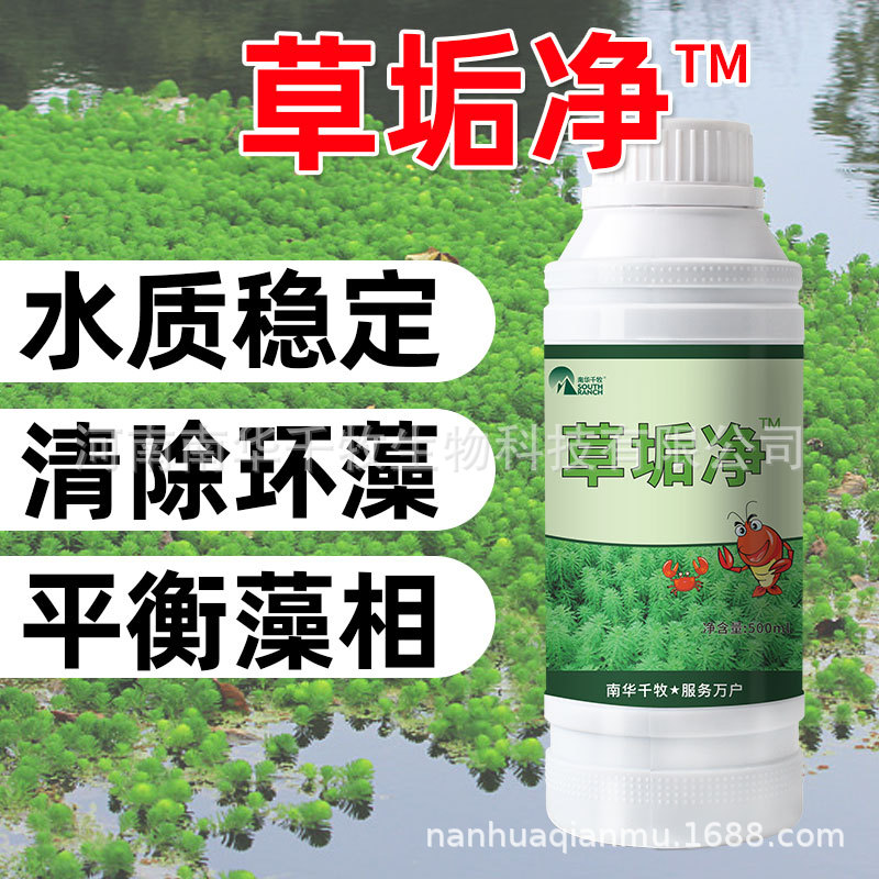 Nanhua thousand pasture Aquatic products breed balance Shrimp pond Crab pond stable Water Quality Dirtness Algae grass