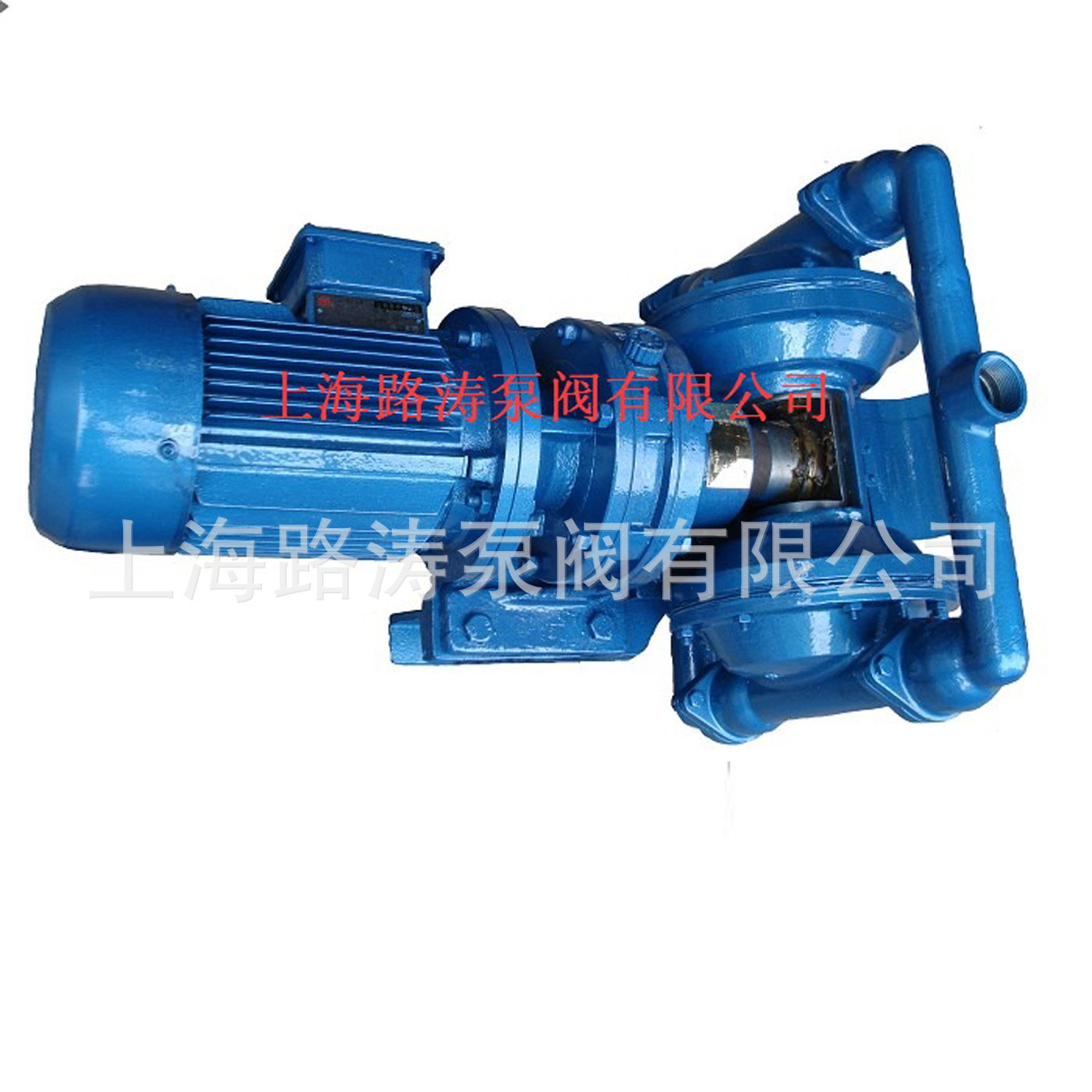 厂家直销DBY-100电动隔膜泵 铝合金衬四氟膜电动隔膜泵