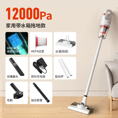 Tozsoranlar, Car Vacuum Cleaner Wireless - national-standard-charger-luxury-family-car-dual-use-mopping-with-water-tank-3-batteries-111v