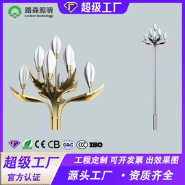 太阳能灯;路灯;景观灯