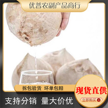 优普泰国椰皇上海发货顺丰包邮新鲜水果椰子椰皇一件代发
