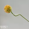 Small bent onion