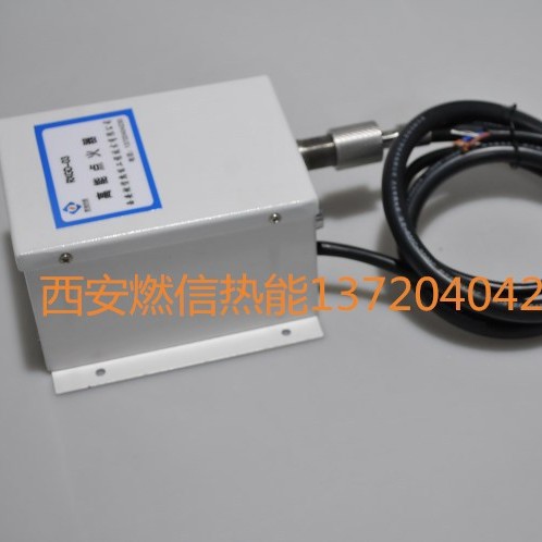 厂家直供RXGD-03高能点火器 燃气锅炉高能点火器 吹灰器点火器