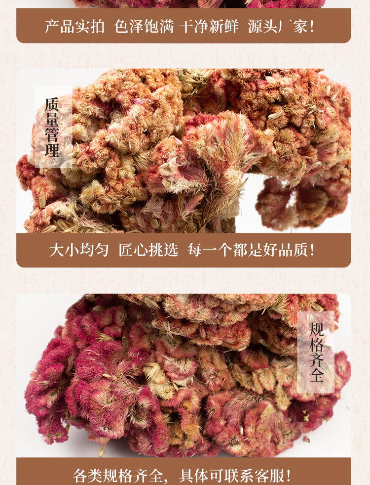 Dried Cockscomb Flower Ji Guan Hua 鸡冠花 Celosia cristata Whole Herb 500g for Herbal Tea and Decoction specifications