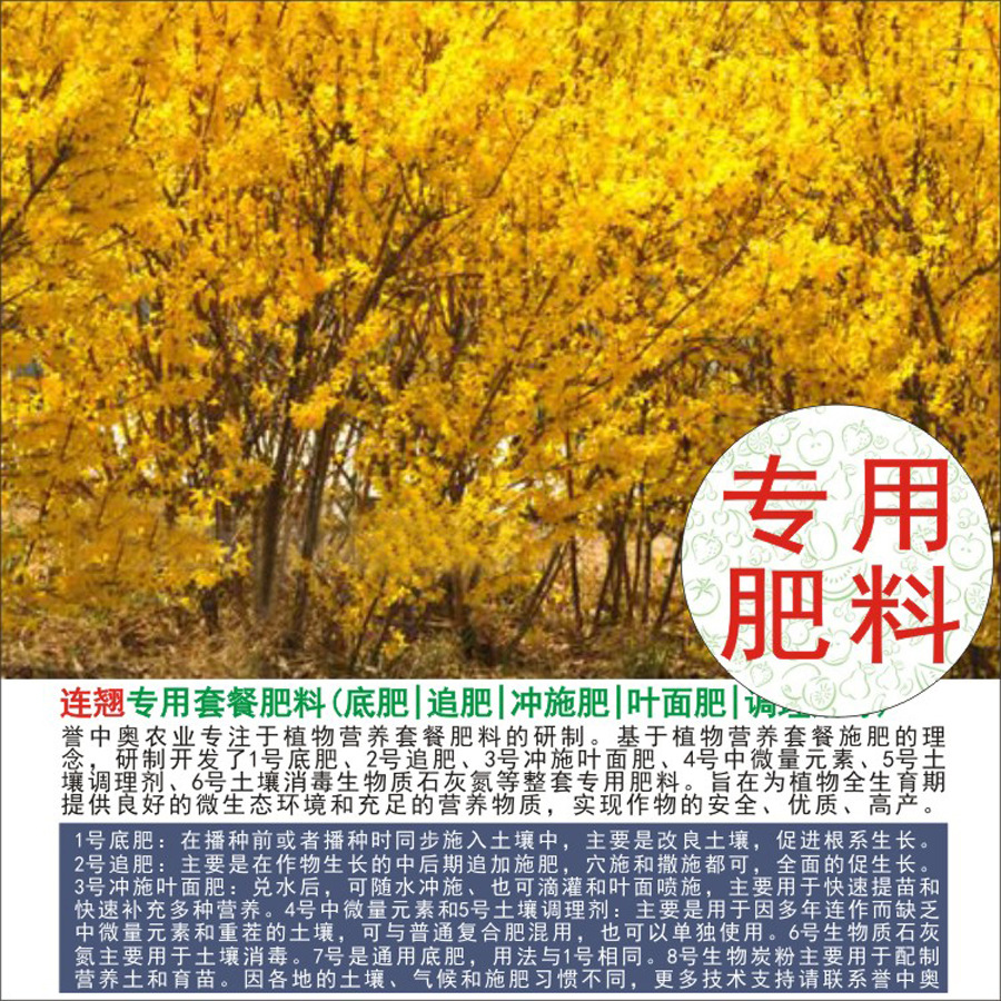 50�����а�����ר���л��ʸ��Ϸʵ׷�׷��Ҷ��ʳ�ʩ��ˮ�ܷ�