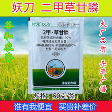 ��s�������ײݸ����Ʒ���݄����ݠ�����2�ײݸ�������������l