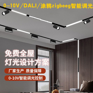 0-10V dimming two-color temperature magnetic floodlight green rice cloud-up graffiti magnetic track spotlight DALI smart light
