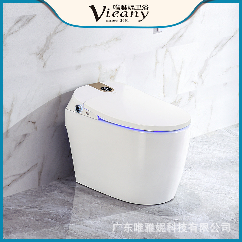 Smart WC Flip automático de secado instantáneo de limpieza Eléctrica Integrado inodoro hogar Versión Estándar