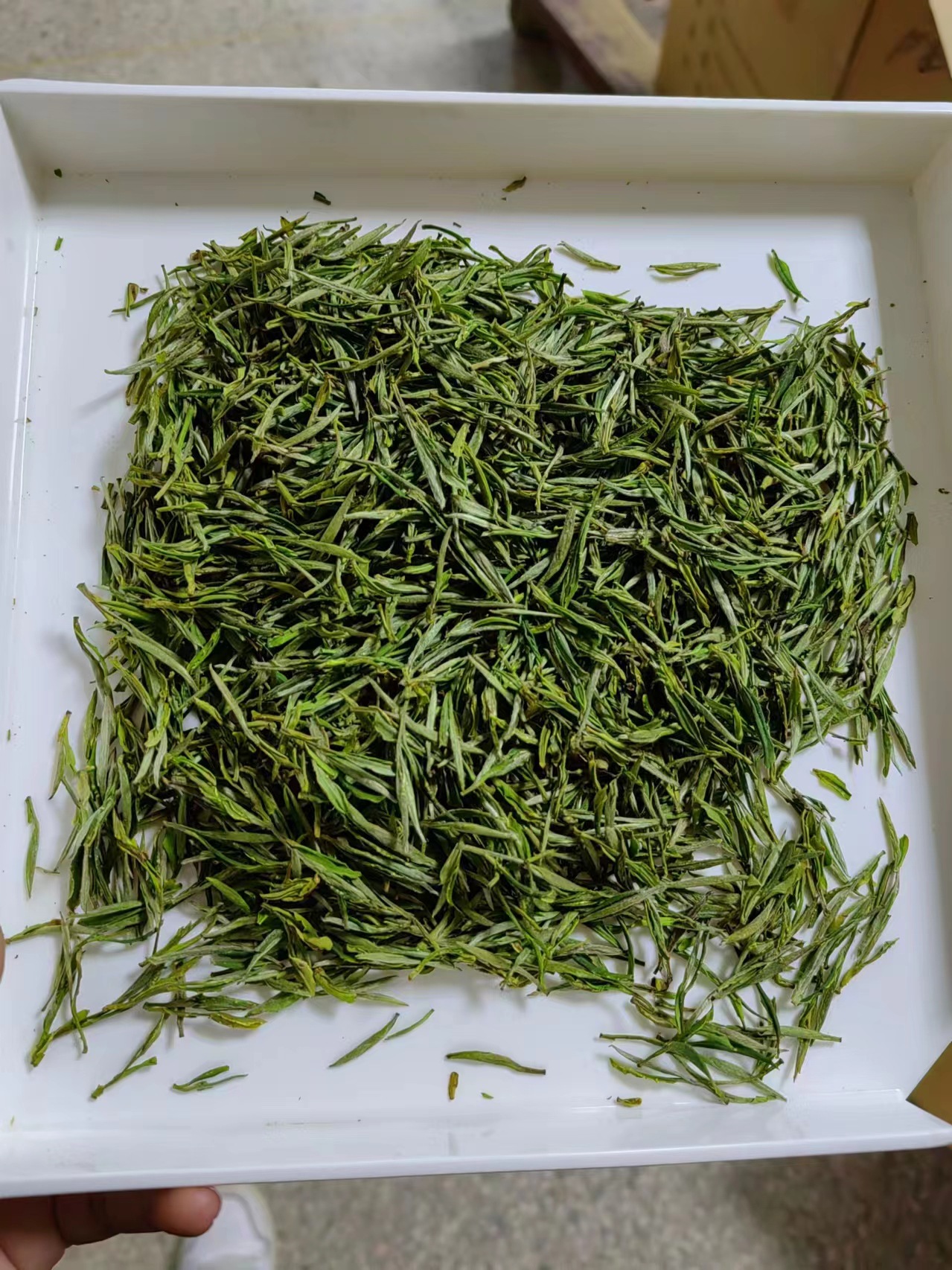 2025 신차 4A 특급 Mingqian Maofeng (블루 향)