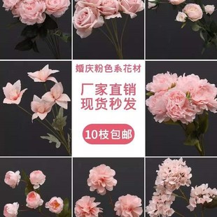 ��c��ɫ����ˇ���򽁻������bٻ���Y���õ��Ų廨���l��̫��