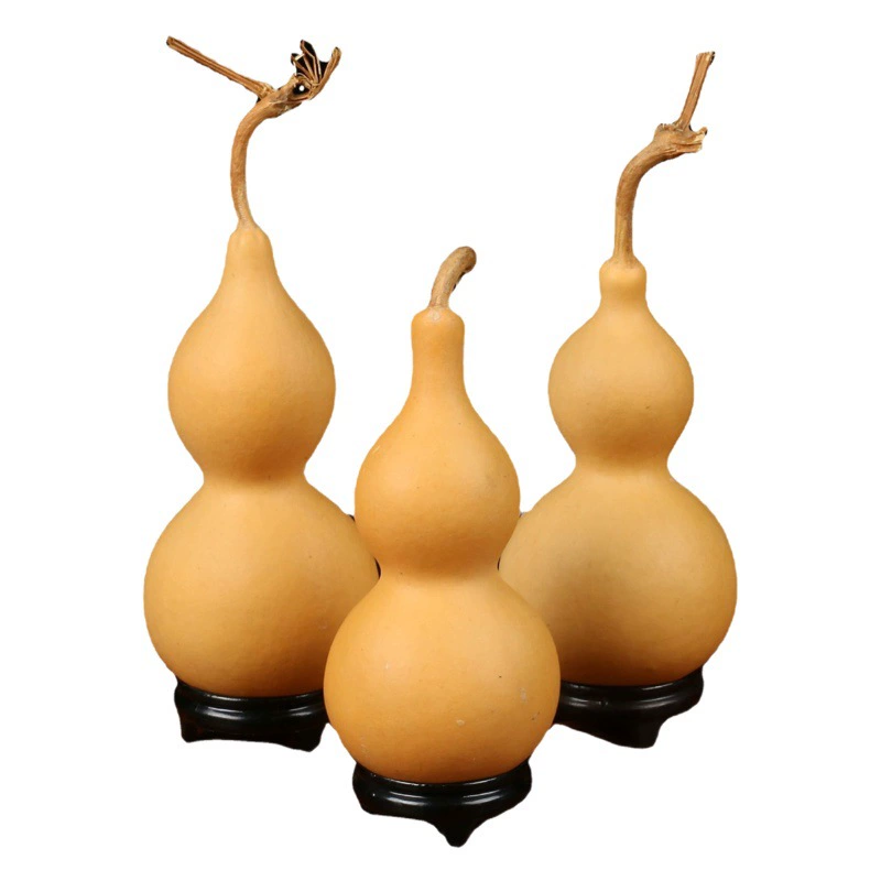 Оригинальный цвет тыквы ручная тыква