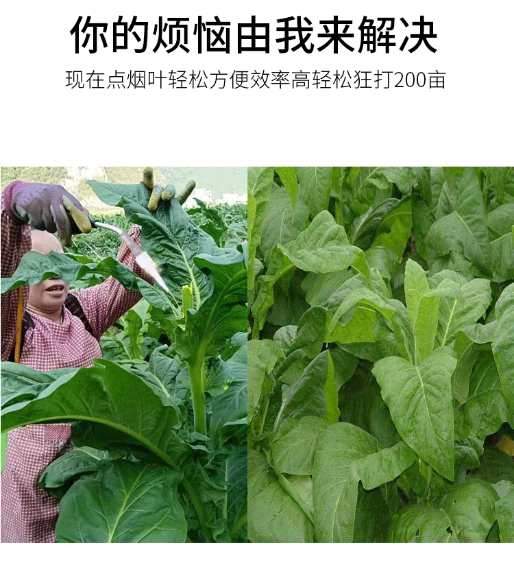 详情页_04.gif