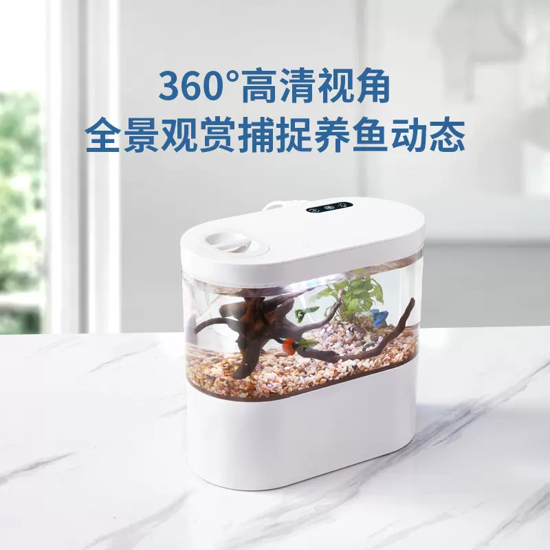 鱼缸客厅小型家用玄关桌面超白玻璃生态造景循环迷你水族箱