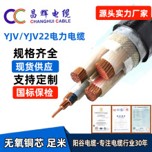 廠家供應陽谷國標YJV電力電纜1-5芯10/16/25/35/50平方銅芯電纜線