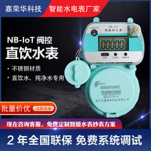 NB-IoT不銹鋼直飲水表無線物聯網遠傳APP繳費監控水表DN15DN20