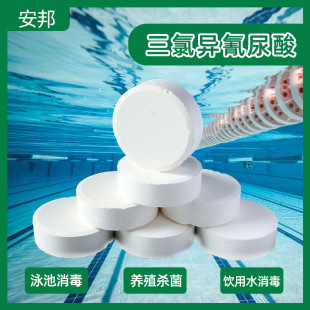 ���Ȯ�������TCCA���Ⱦ�90����Ӿ�ؾ������Ƭ�~���Bֳ�������儩