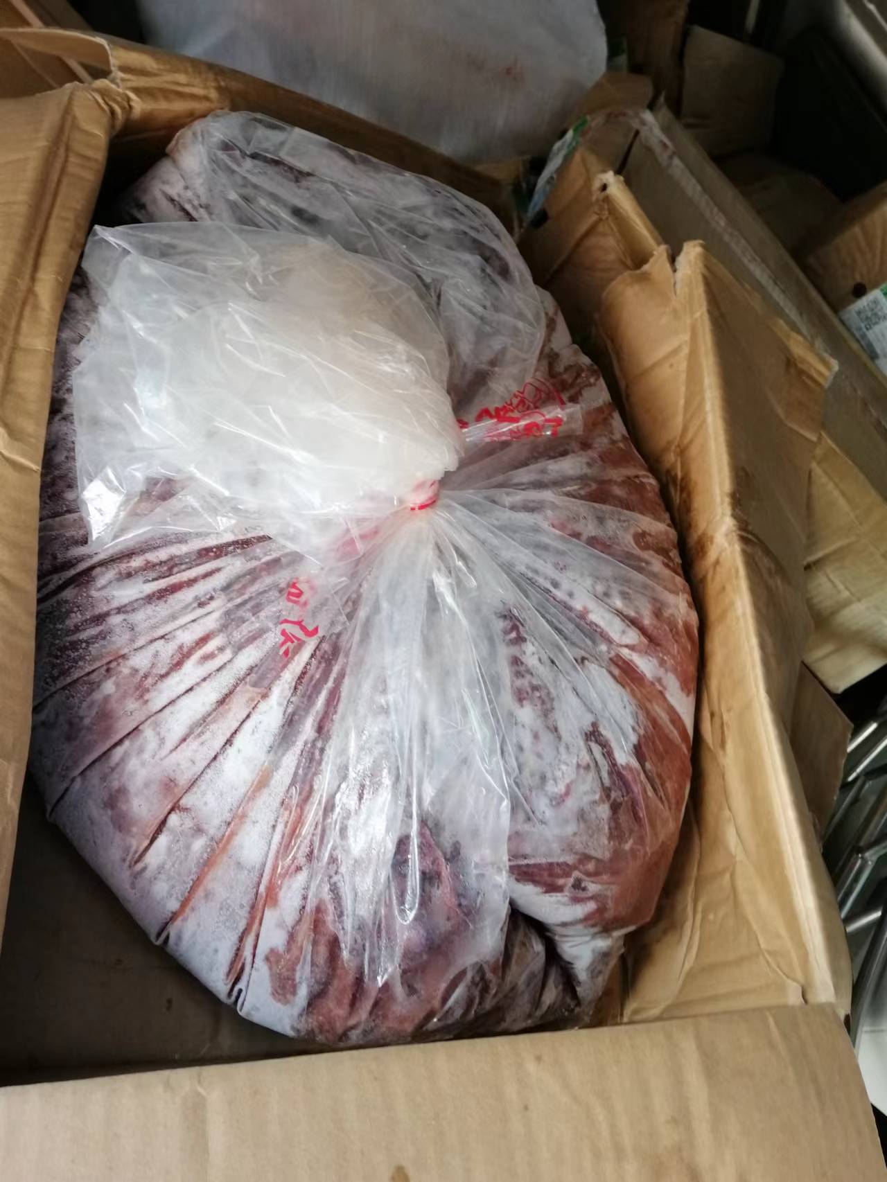 6bd026214310f5d2f0168d11f6a06e