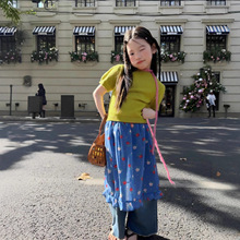 女童套装26春夏季新款ins风柔软短袖毛衣儿童洋气时髦碎花阔腿裤