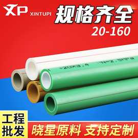 ppr水管20管材4分6分PPR冷热水管40pp-r给水热熔管dn25自来水管32