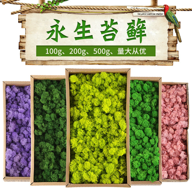 Immortal Moss simulation plant 100/200/500g boxed wall landscaping background decorative moss factory wholesale Immortal Moss simulation plant 100/200/500g boxed wall landscaping background decorative moss factory wholesale