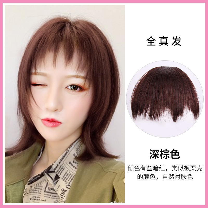 진짜 머리 반 손으로 짠 개 gnaws 앞머리 어두운 다크 브라운