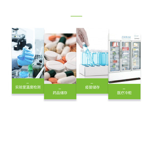 Temperature Recorder DWL-11E Refrigerator Shade Cabinet Vaccum Box Detection Storage Acousto-optic Alarm Thermometer