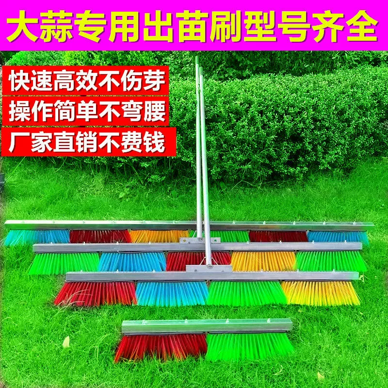 Выход чеснока из проростка чеснока из артефакт из проростка чеснока