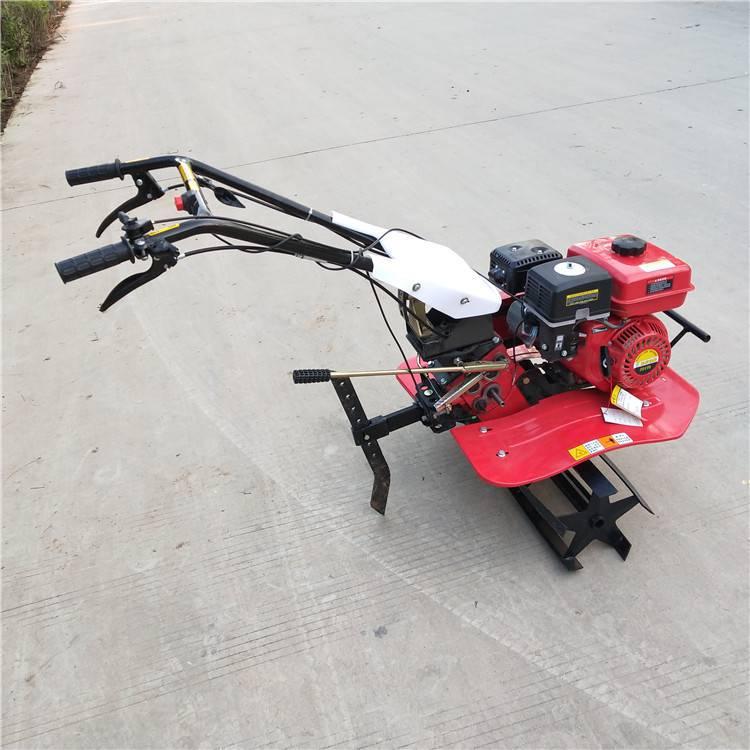 u=1824441630,191318 - 副本