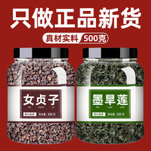 女贞子和墨旱莲组合中药正品500g泡茶旱莲草旱墨莲中药材批发市场