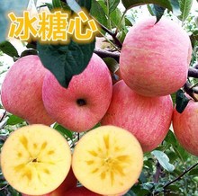 һ�����l�O�����������Ϸ������Nֲ���Ա������O������簫������