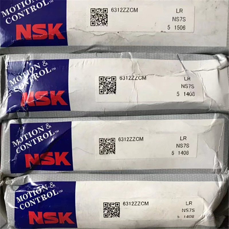 NSK RN206M 日本进口轴承 RN 207 208 209 210 211 212 213 214 2