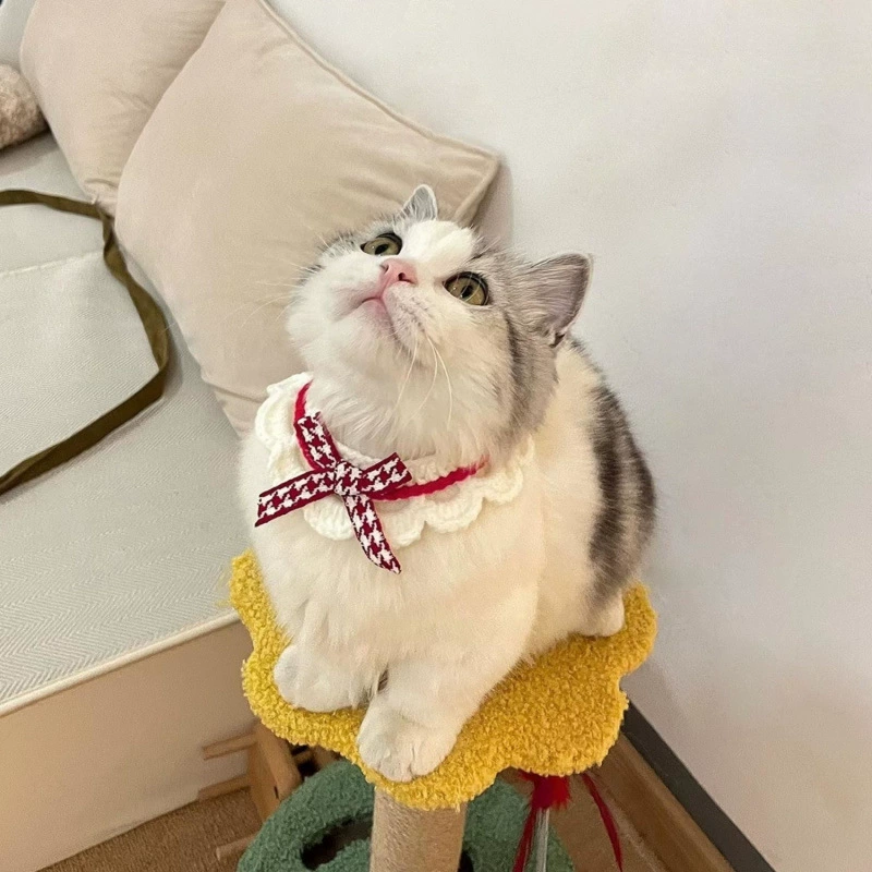 Кошачий нагрудник для домашних животных шарф милый орнамент