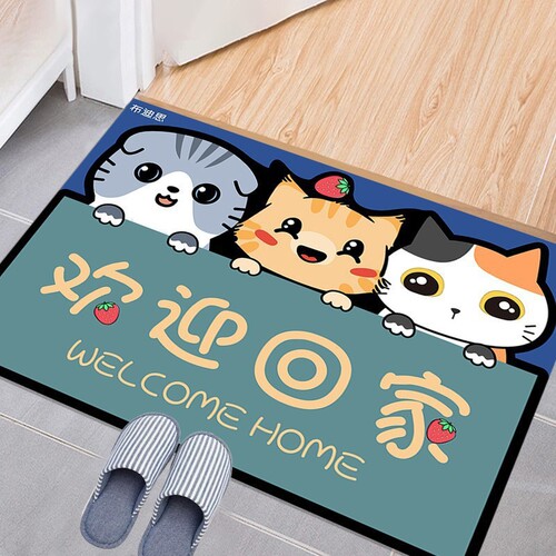 Entry mat door mat bathroom toilet absorbent mat anti-slip pad front door home foot mat door mat rug